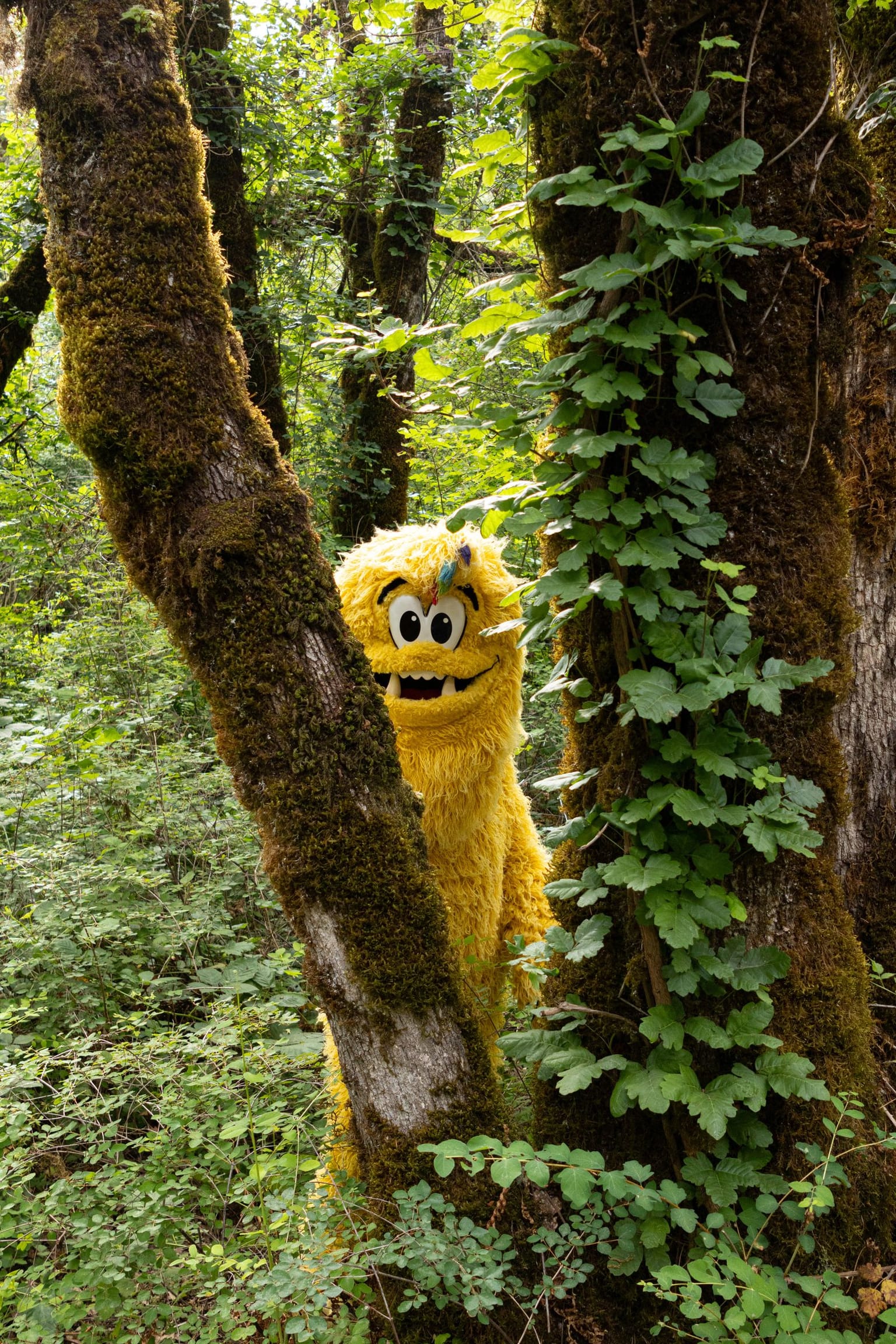 Legend the Bigfoot returns as the Official Mascot of World Athletics U20 Championships Oregon 26:

The local organizing committee for the World Athletics U20 Championships Oregon 26 (WU20 Oregon 26) is pleased to announce the return of Legend the Bigfoot as the official mascot for this August’s championship at Hayward Field at the University of Oregon.